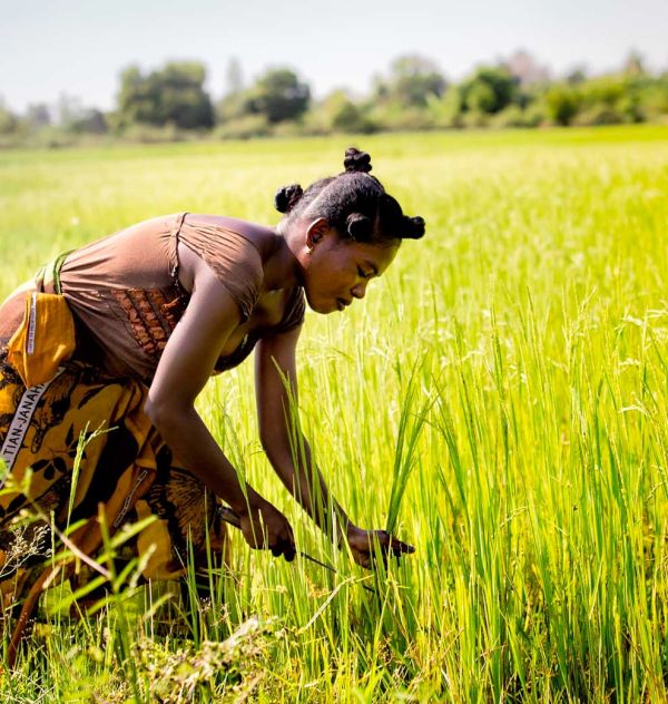 Woman in field