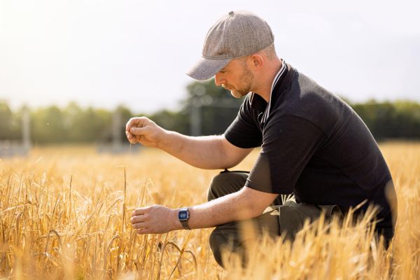 CSC field trial