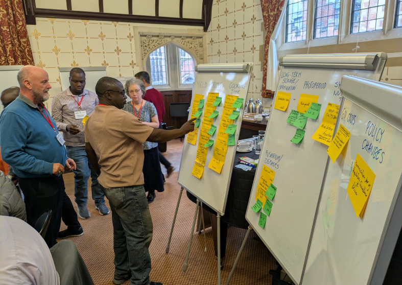 Flip chart session at the UK-CGIAR Bambara groundnut consortium meeting February 2026. Credit: Aga Alexander / Crop Science Centre, Cambridge.