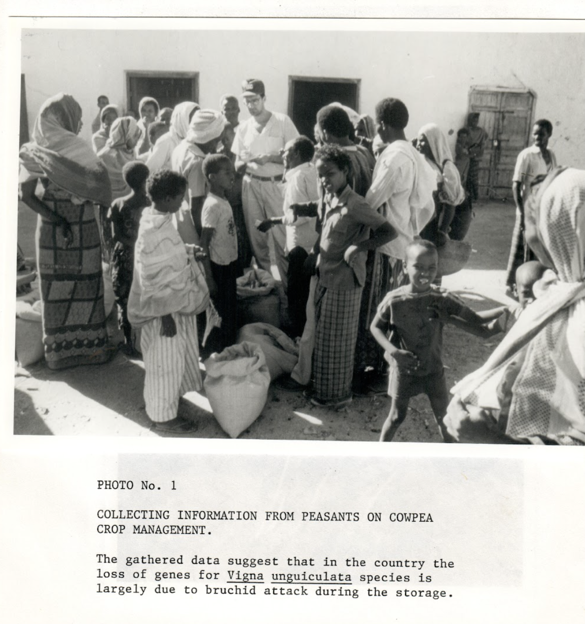 Dr Padulosi interviews Somali farmers in 1988. Photo from Stefano Padulosi’s personal archives.