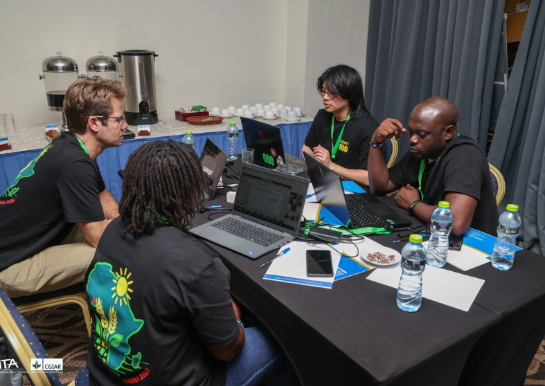 Working together at the international photosynthesis hackathon 2026. Photo credit: IITA-CGIAR.