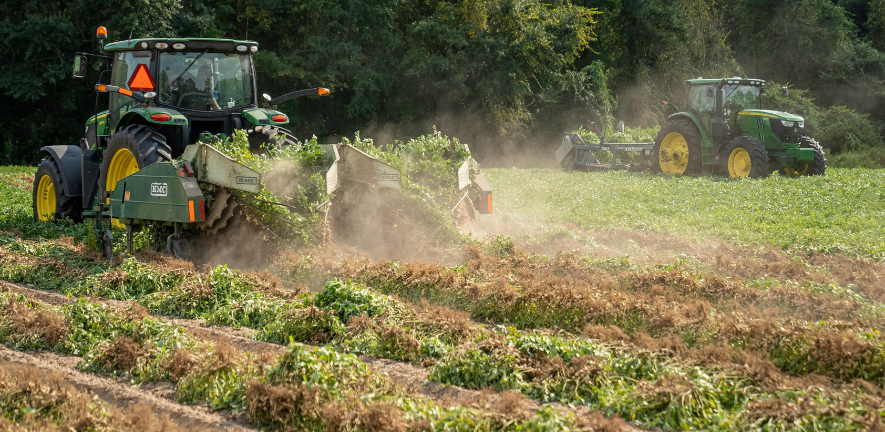 Potato farming by Mark Stebnicki on Pexels.