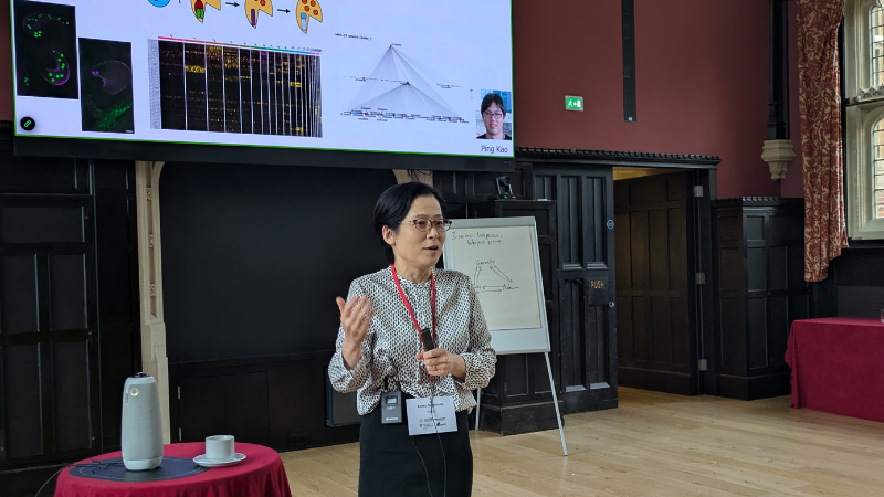 Professor Keiko Sugimoto, University of Tokyo