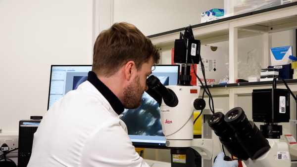 Dr Olaf Kranse at the Crop Science Centre, Cambridge. Credit: Graham CopeKoga.